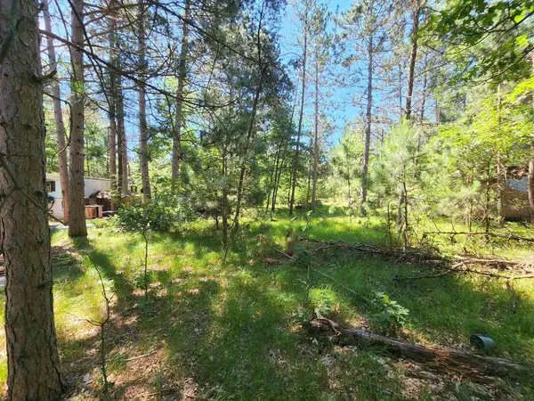 Necedah, WI 54646,W5624 Hazelnut Ln