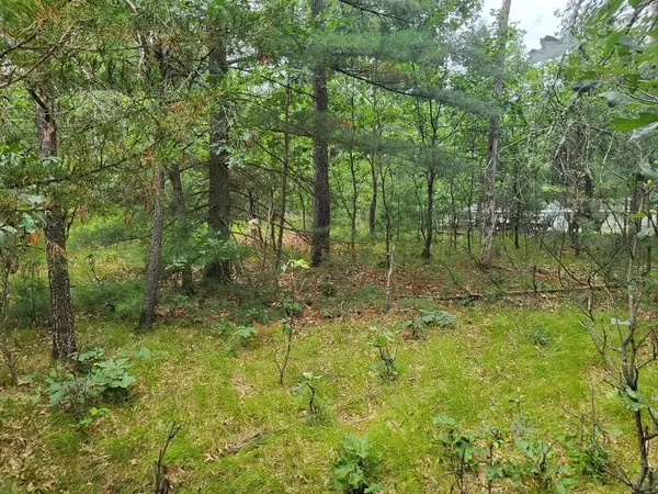 Lot 10 Birch Ave, Friendship, WI 53934