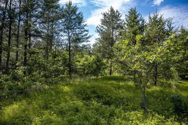 Lot 10 18th St, Necedah, WI 54646