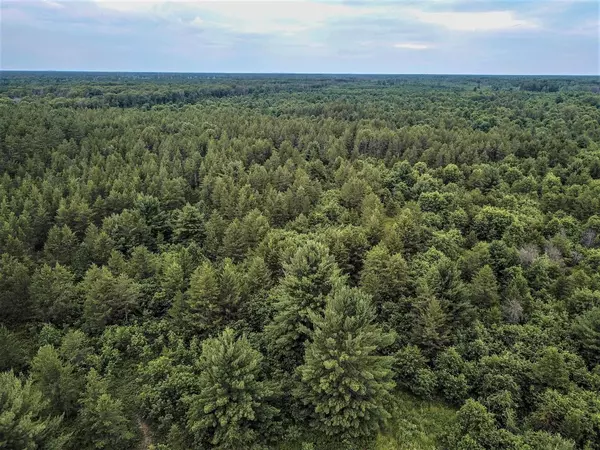 Necedah, WI 54646,Lot 10 18th St