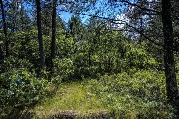 Necedah, WI 54646,Lot 10 18th St