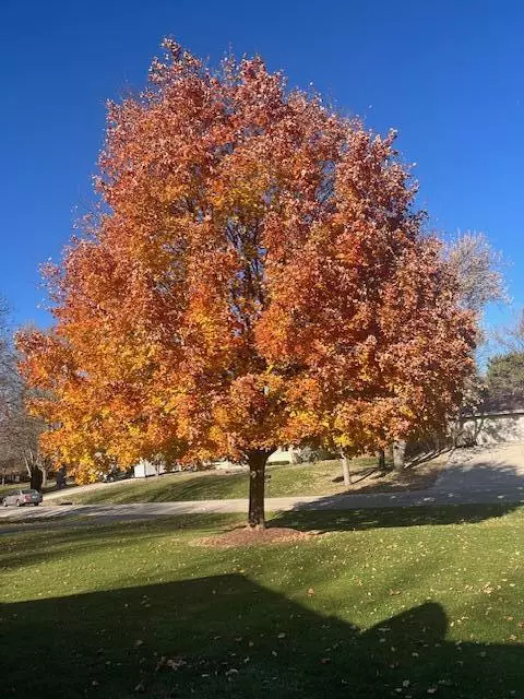 18045 Continental DRIVE, Brookfield, WI 53045