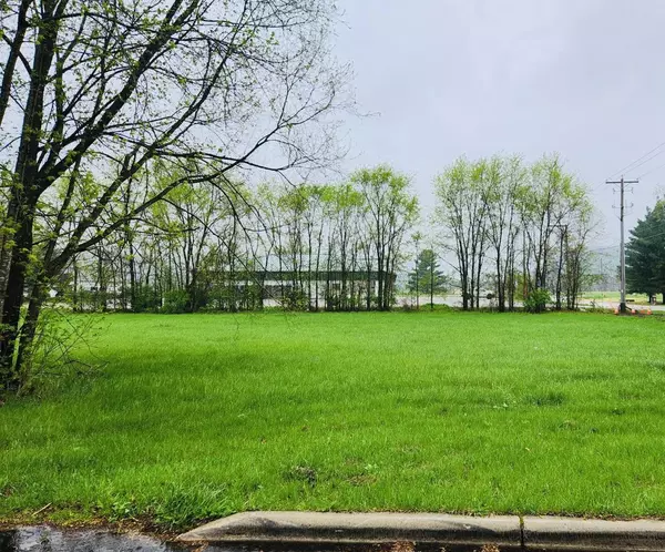 Arena, WI 53503,Lot 29 Meadow Street