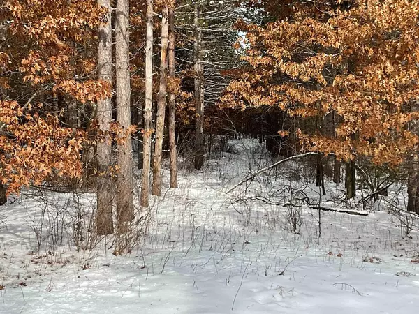 Nekoosa, WI 54457,Lot 63 Yellow Banks TRAIL