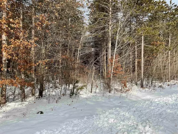 Nekoosa, WI 54457,Lot 63 Yellow Banks TRAIL