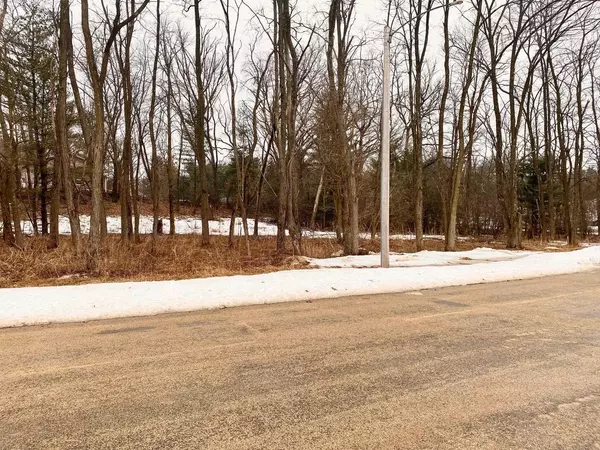 Lot 112 Michigan AVENUE, Wisconsin Dells, WI 53965