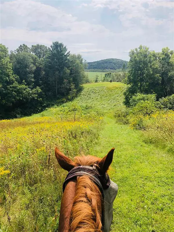 Camp Douglas, WI 54618,L2 Julia Rd