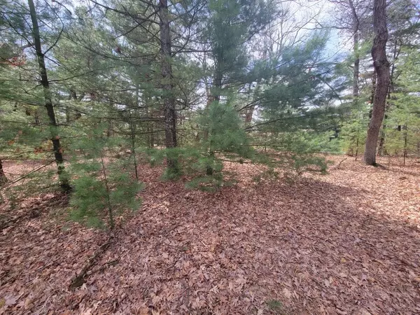 Arkdale, WI 54613,Lot 17 S Czech Court