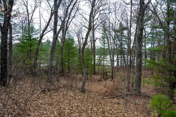 Lot 254 Dakota Junction, Friendship, WI 53934