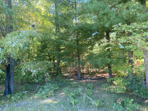 Wisconsin Dells, WI 53940,335 Pine Meadow Court