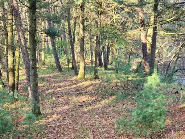 Friendship, WI 53934,2035A Blackhawk Street