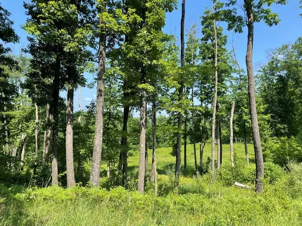 39.87 Acres Woefl Road, Lyndon Station, WI 53944