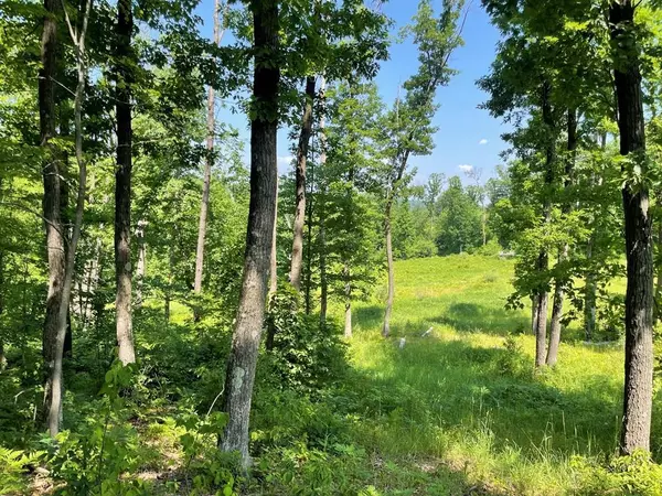 Lyndon Station, WI 53944,39.87 Acres Woefl Road