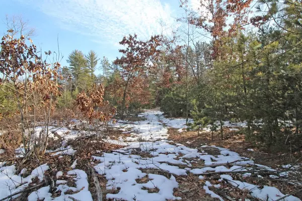 Lot10 Spruce Trail,  Spring Green,  WI 53588