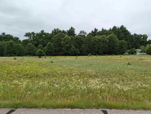 Wisconsin Dells, WI 53965,Lot 2 Gale Court