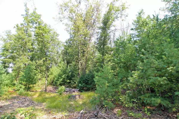 Spring Green, WI 53588,Lot14 Timber Trail