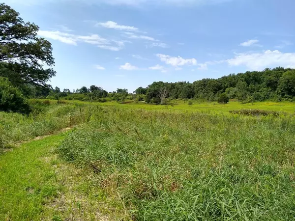 40 Acres Esch Road, Dodgeville, WI 53533