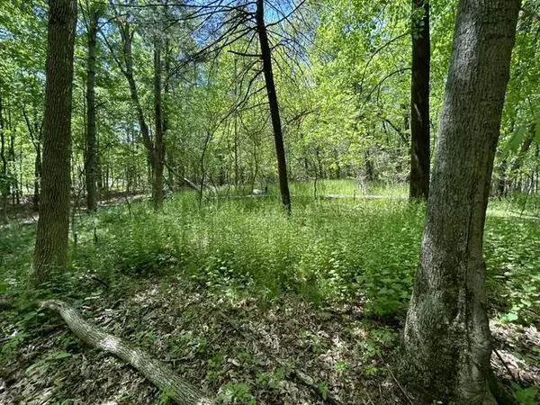 Lot 23 S Badger Lane,  Arkdale,  WI 54613