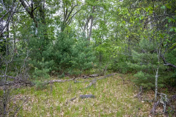 Grand Marsh, WI 53936,Lot 36 Fawn Court