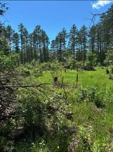 W2138 55th Street, Lyndon Station, WI 53944