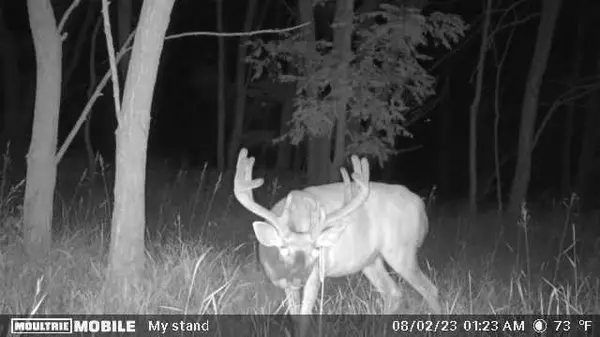 80 Acres 50th Street, Mauston, WI 53948