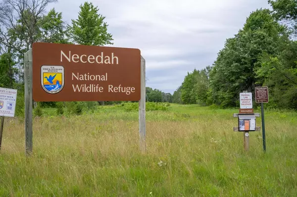 Necedah, WI 54646,W6898 20th Street