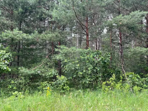 Friendship, WI 53934,10 Ac 4th Avenue