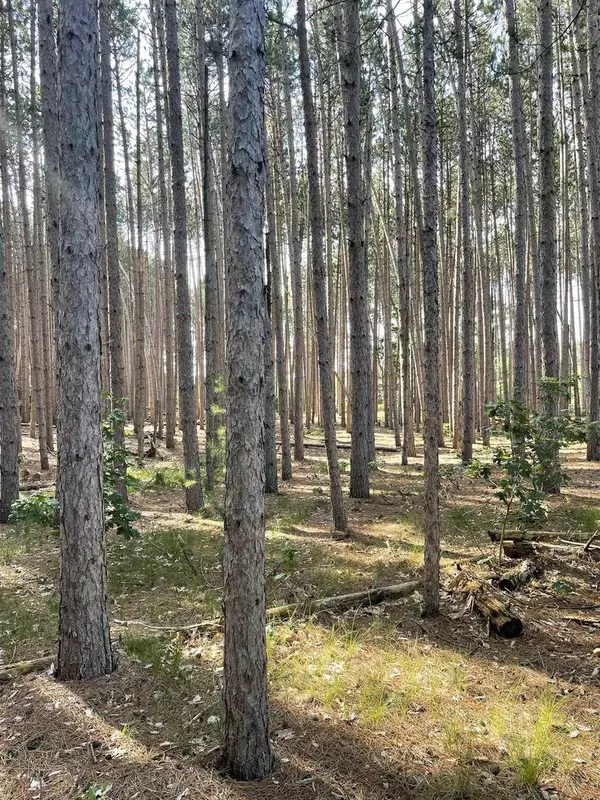 Necedah, WI 54646,Parcel 42 Pinecone Court