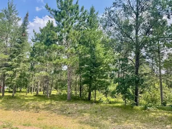 Nekoosa, WI 54457,1364 Rain Dance Trail