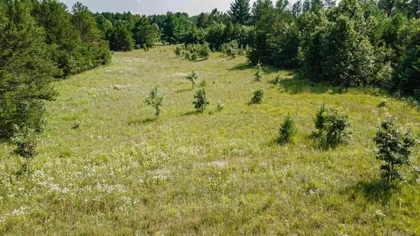 Grand Marsh, WI 53936,Lot 2 & 3 Eagle Drive