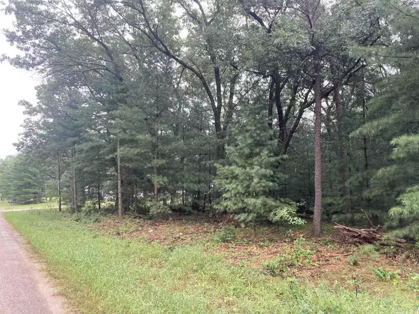 Wisconsin Dells, WI 53965,Lot 51 Fern Drive