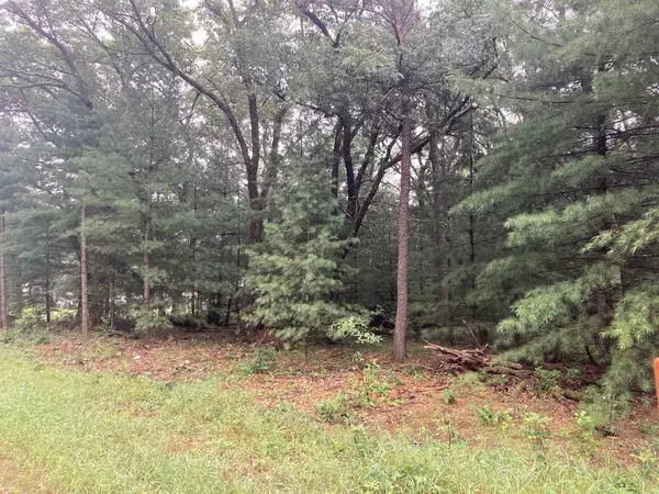 Wisconsin Dells, WI 53965,Lot 51 Fern Drive