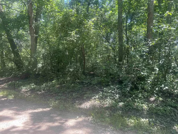 Lot 2 Montrose Road, Belleville, WI 53508