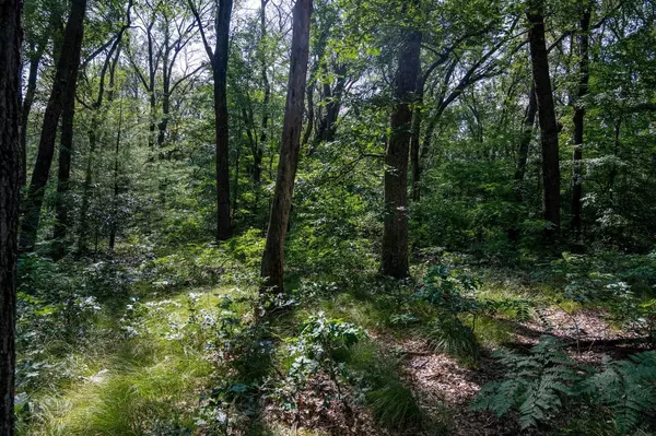 Lyndon Station, WI 53944,5.01 acres Colleen Drive