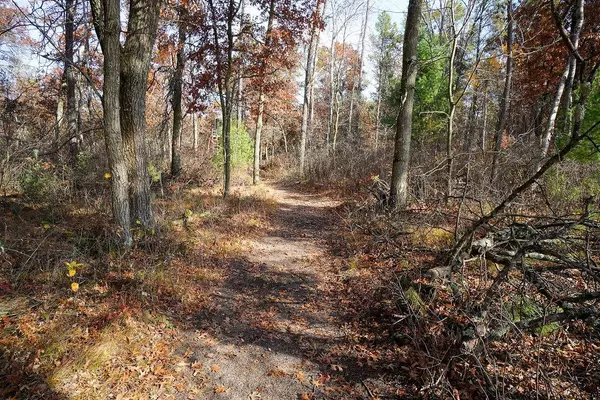 Necedah, WI 54646,Parcel 15 Lumby Road