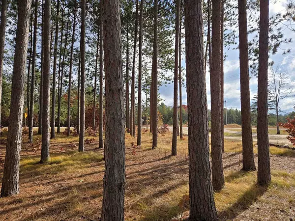 Necedah, WI 54646,N9507 County Road G