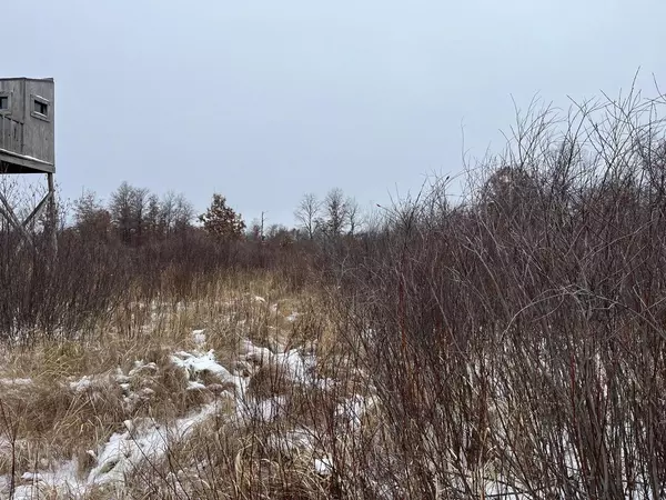 Friendship, WI 53934,39 Acres Cottonville Avenue