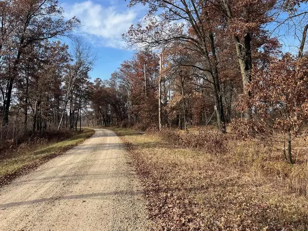 Friendship, WI 53934,39 Acres Cottonville Avenue