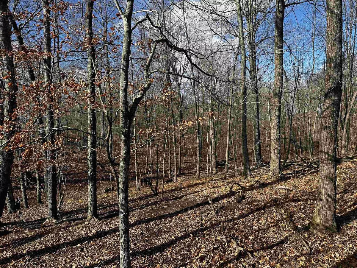 Campbellsport, WI 53010,County Road SS