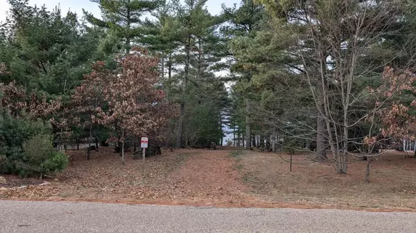 Lot 33 S Badger Court, Arkdale, WI 54613