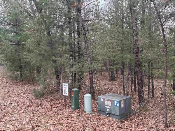 Lot 3 & 4 Czech Lane, Friendship, WI 53934