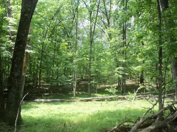 Arkdale, WI 54613,L4 S Badger Court