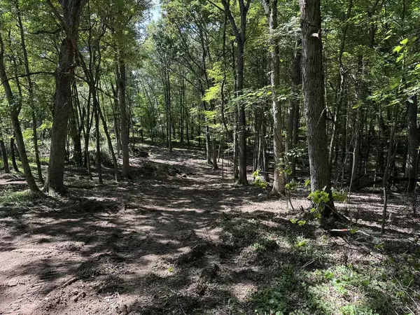 Oxford, WI 53592,Lots 153 - 154 W 3rd Drive