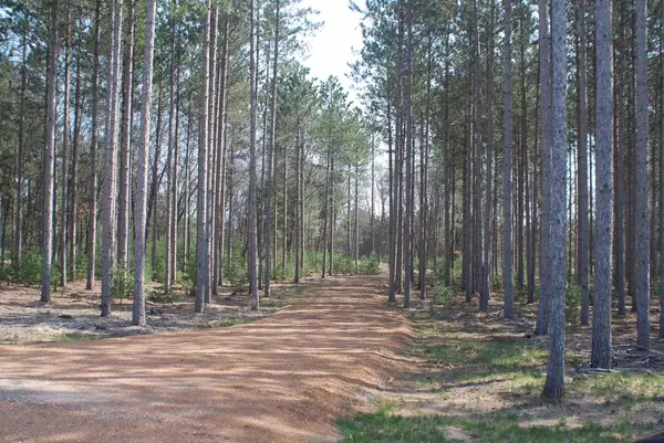 Mauston, WI 53948,W3930 Dam Road