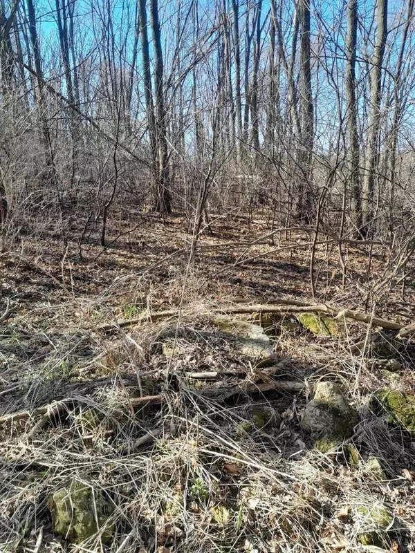 Bloomington, WI 53804,Approx 9 acres Highway 35/61