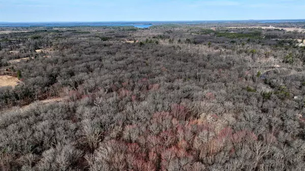 81.25+/- Acres Brookridge Road, Friendship, WI 53934