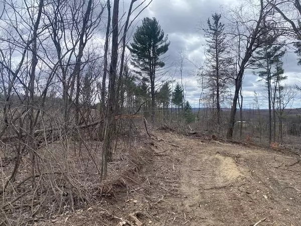 Baraboo, WI 53913,E13603B Van Hoosen Road