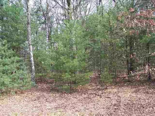 Wisconsin Dells, WI 53965,Lot 13 Gem Court