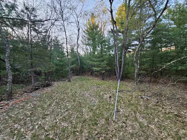 Wisconsin Dells, WI 53965,4159 8th Avenue