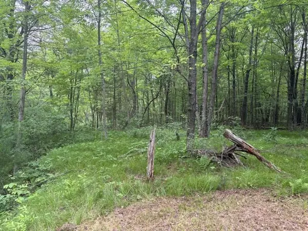 Friendship, WI 53934,2294 18th Avenue